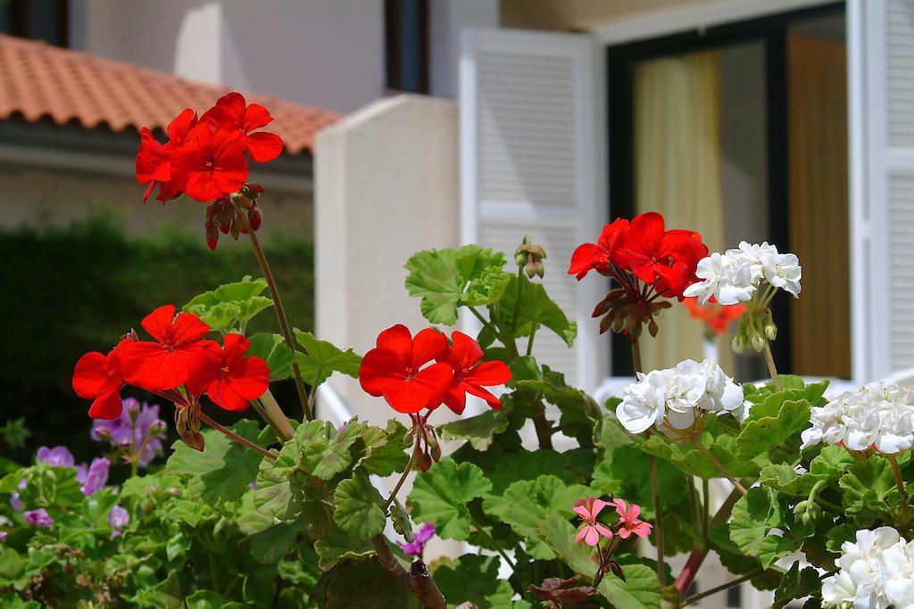 Sunbay Apartments Pyla Exterior foto